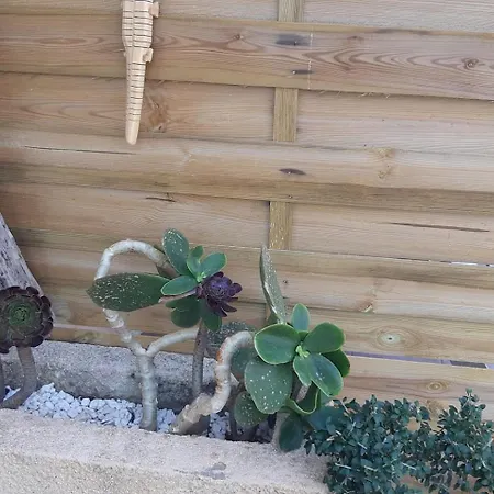 Mini - Vue Serra-di-Ferro (Corsica)