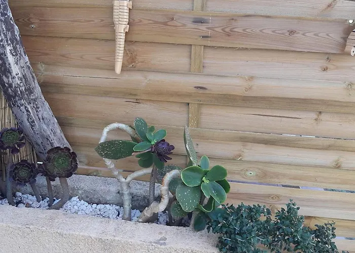 Mini - Vue 赛拉蒂费罗