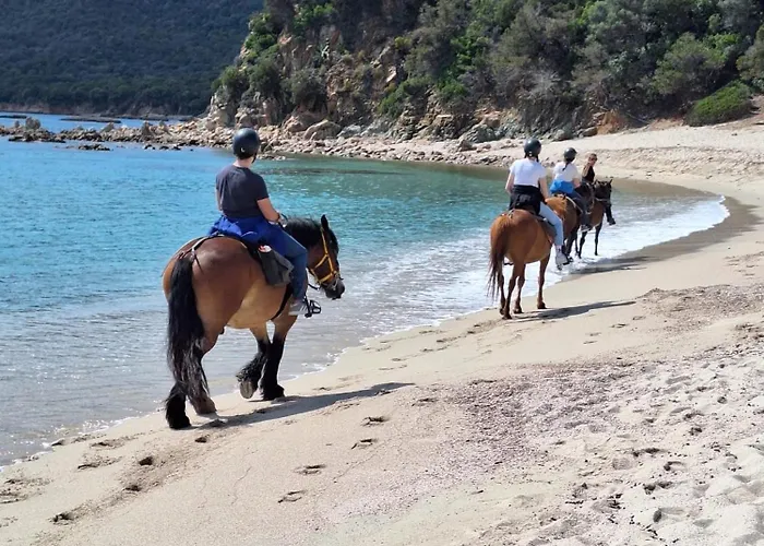 Mini - Vue 赛拉蒂费罗