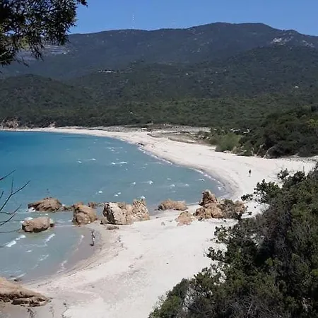 Apartman Mini - Vue Serra-di-Ferro