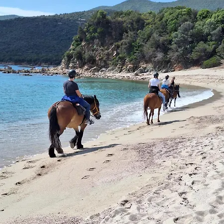 Mini - Vue Serra-di-Ferro